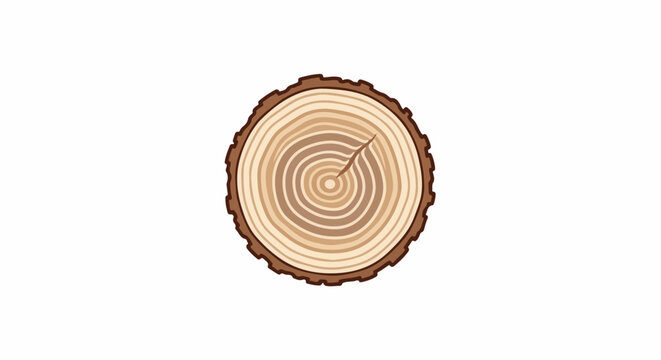 Cross-section of a tree trunk revealing growth rings