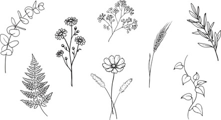 Fototapeta premium Botanical illustration set hand drawn floral and foliage elements for design