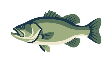 Fototapeta premium Large Mouth Bass Fish Side View.
