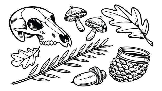 Vector illustration of forest nature elements including skull mushrooms and leaves with mushroom, botanical