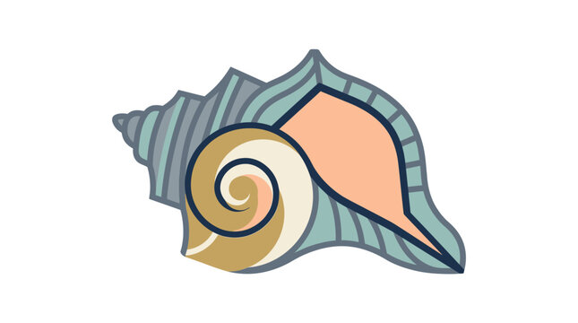 Colorful illustration of a seashell spiral.