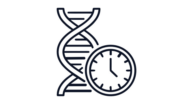 Dna strand and clock icon representing biological age and genetics timing with genetics, evolution