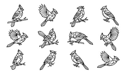 Obraz premium Geometric Northern Cardinal bird vector collection with abstract polygonal line art icons