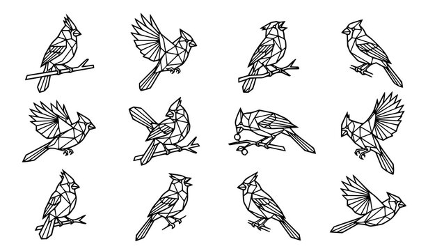 Geometric Northern Cardinal bird vector collection with abstract polygonal line art icons