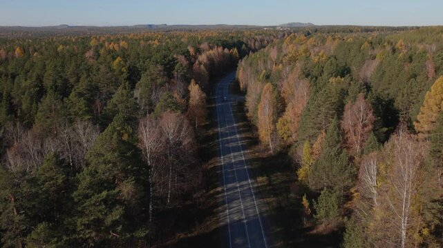 Drone view of a winding asphalt road cutting through colorful autumn mixed forest in the Ural Mountains region, Russia, peaceful wilderness landscape with no traffic