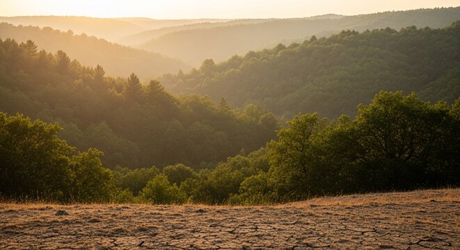 Heat Ripples Distorting the View of Distant Green Trees Across a Lush Valley