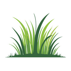 Fototapeta premium Green grass illustration on white background