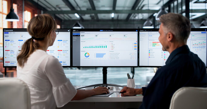 Two Professionals Discuss ERP Software Integration
