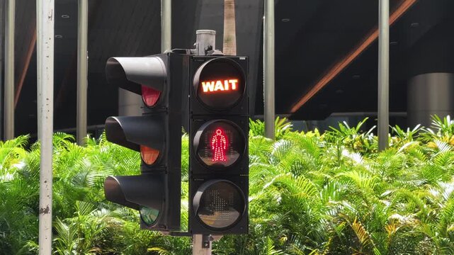 Pedestrian Traffic Signal Showing WAIT with Red Man Surrounded by Tropical Plants