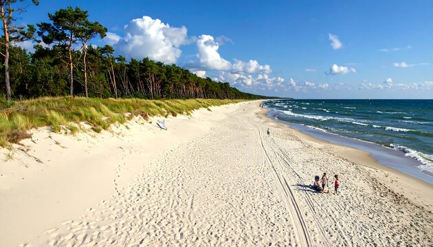 Aerial view of a sandy beach bordered by trees and the ocean under a bright, partly cloudy sky