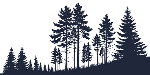 Coniferous pine forest silhouette graphic illustration with silhouette landscape coniferous evergreen woodland outdoors illustration background wilderness botanical isolated contrast © Gf