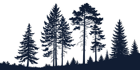 Dark forest pine trees silhouette landscape graphic with silhouette landscape coniferous woodland evergreen outdoors background minimalist wilderness illustration environment botanical © Gf