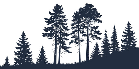 Dark pine forest silhouette woodland graphic with silhouette landscape coniferous evergreen woodland outdoors illustration background wilderness botanical isolated contrast mountain © Gf