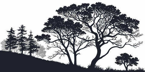 Forest tree silhouettes against white background with silhouette landscape evergreen woodland environment botanical illustration minimalist background vegetation wilderness ecological © Gf