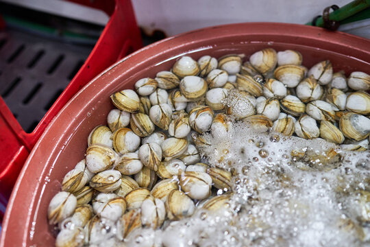 Fresh Dongjuk surf clams submerged in a red plastic basin with an active aerator generating vigorous bubbles. This scene captures the essential purging process at a traditional Asian seafood market.
