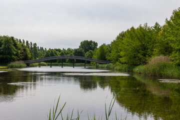 Fototapeta premium Curved footbridge crossing tranquil lake in park landscape