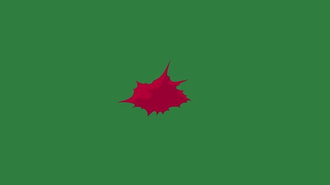 Red maple leaf on some spots it flower star  design elements frame backgrounds colorful gesture movement motion