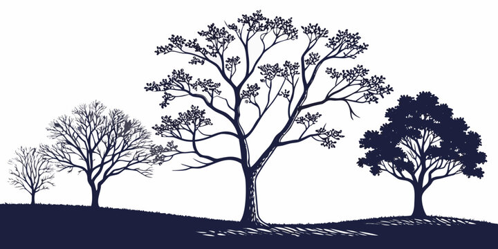 Trees depicting different seasonal stages from bare branches to full foliage on a gentle hill graphic silhouette illustration with changing seasons life cycle design element three trees silhouette