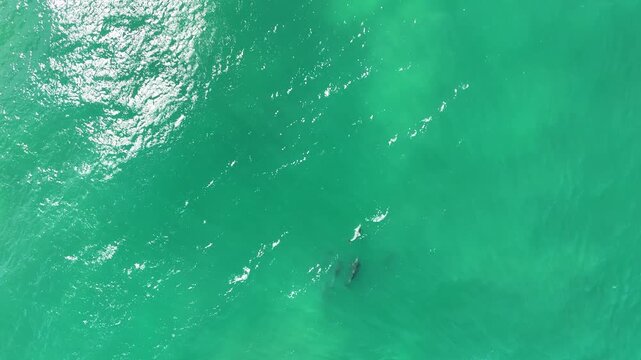 Drone video aerial view of clear blue beach and ocean water 