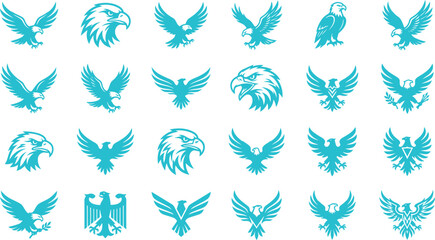 Fototapeta premium Eagles spread their wings in flight across the landscape with various poses.