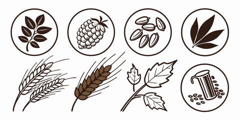 Set of brewing ingredient icons in circles including barley and hops with botanical agriculture ingredient vegetation illustration brewhouse collection © Mamun