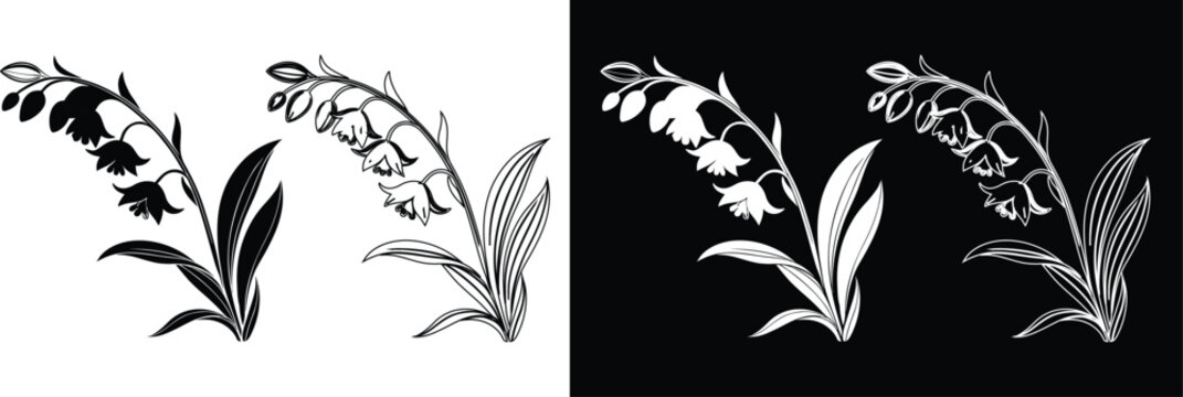 Lily of the valley flower branch with leaves vector illustration set in black and white silhouette line art
