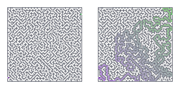 Abstract maze patterns in black and white with colored accents  