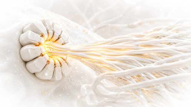 Cellulose Microfibril Synthesis and Cell Wall Assembly, 3D Conceptual Illustration of Cellulose Synthase Complex Rosette in Bio-Ceramic Style