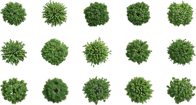 Set of green trees top view isolated on white background for architectural landscape design and site planning