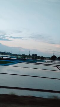 POV Train Window View of Rice Paddy Fields at Sunset in Rural Indonesia