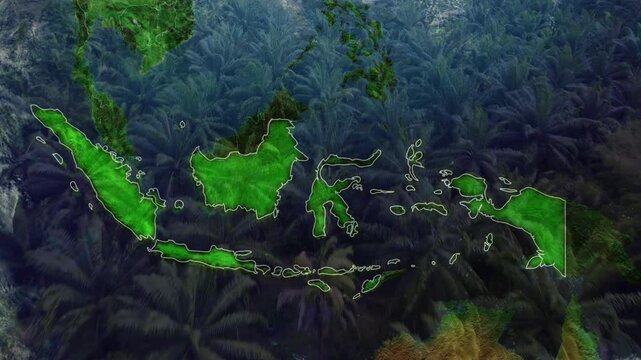 Glowing green map of Indonesia overlaid on a dense tropical palm oil plantation, highlighting the country's status as a top global palm oil producer.