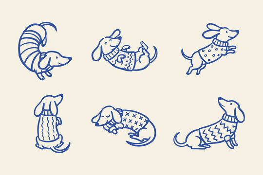 Dachshund dogs in different poses wearing sweaters Vector