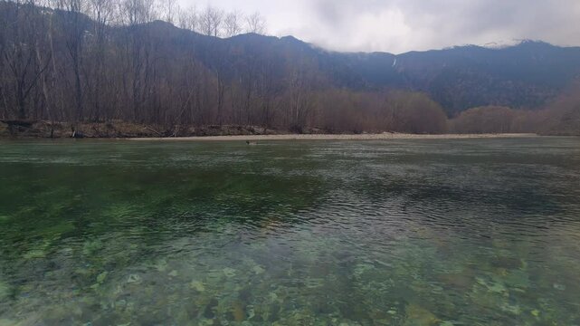 観光名所上高地の梓川の清流の水中撮影風景