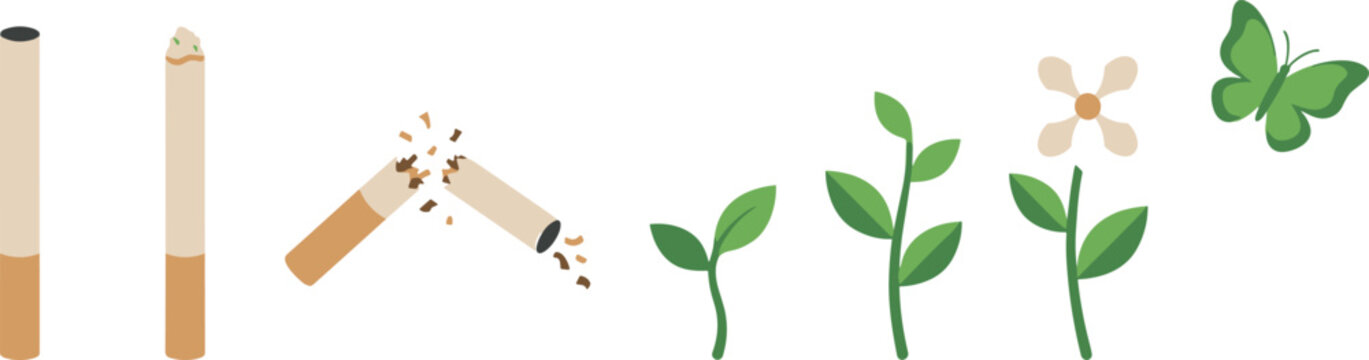 Quit Smoking Cessation Conceptual Vector Set Showing Transformation from Lit and Broken Cigarettes to Growing Green Sprouts Blooming Flower and Flying Butterfly