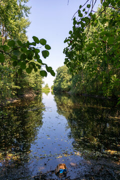 View of a moat in a nature reserve