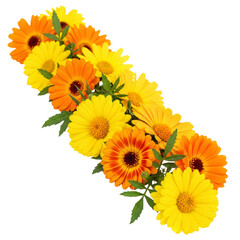 Vibrant orange and yellow daisies arrangement © Khayrunnesa graphic 