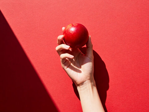 Minimal fruit still life of a hand holding a red apple against a rich red background