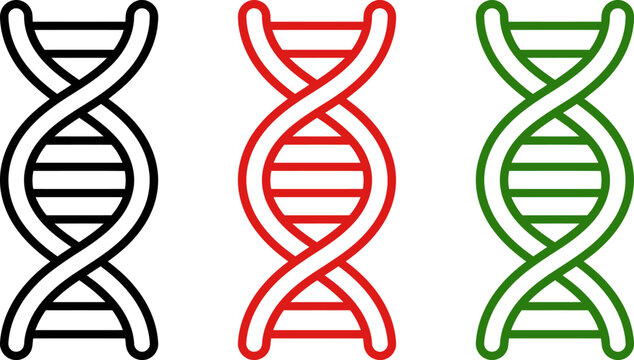 Three DNA helix models in black red green colors