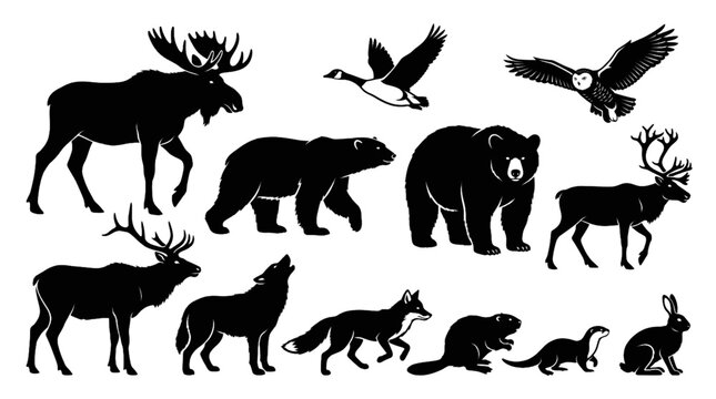 Collection of Canadian wildlife animals featuring forest mammals birds and iconic native species vector illustration set