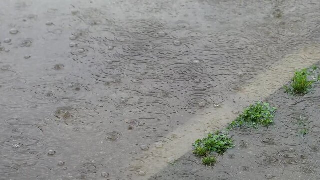雨が降る道路の水溜まり