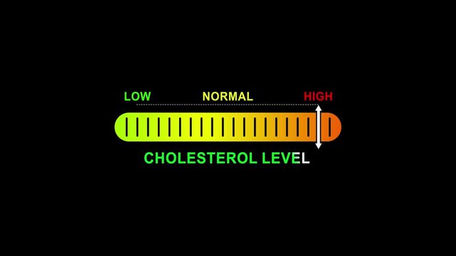 cholesterol level indicator scale. Low normal high meter infographic animation on black background. Showing high pressure level color gauge indicator.4k quality animation video