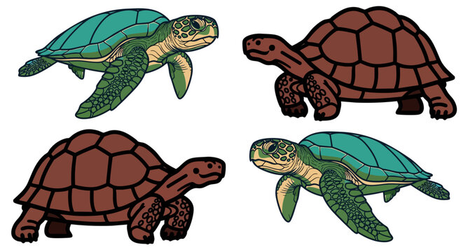 Turtles, colorful turtle illustrations, green and brown shells, wildlife icons, vector graphics