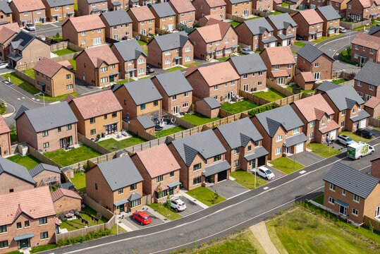 Rows of small new build houses built because of housing shortage, England