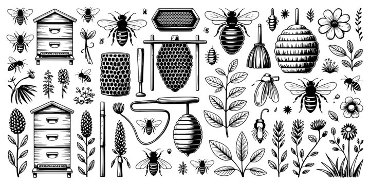 Bees Doodle Line Art Set with Honeycomb Hives Flowers and Leaves, Whimsical Engraved Botanical Insects for Crafts and Stickers