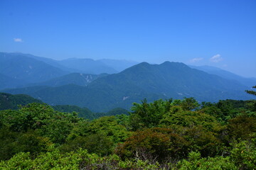 Fototapeta premium 山梨県 身延町の身延山久遠寺