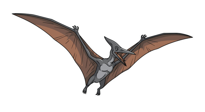 Flying pterodactyl dinosaur with large wings and open beak shown in a dynamic pose against a plain white background for education.