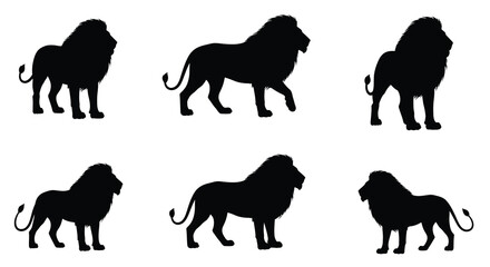 Lion silhouettes in various poses black vector graphic on white background © SAFIULLAH