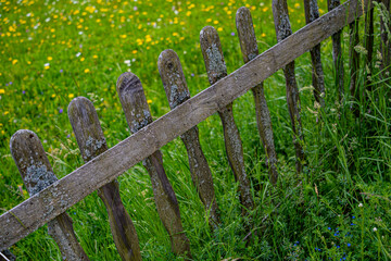 Stary drewniany płot, natura, eko, polska wieś, © Maciej G. Szling
