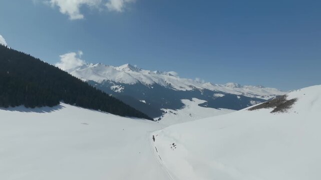 Scenic winter footage of Grigoriev Gorge with snow covered valley, pine forest slopes and distant peaks under blue sky in Issyk Kul Region, Kyrgyzstan