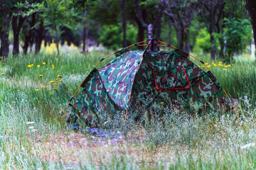 Camouflage camping tent pitched in a lush green forest glade with wildflowers. Automatic pop-up tourist tent set up in the woods. © Dina Luk